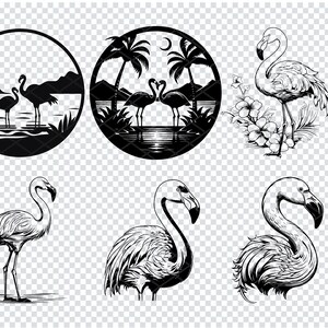 FLAMINGO Bundle SVG, FLAMINGO Clipart, Flamingo silhouette Svg, Flamingo Svg cut files for Cricut