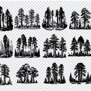 May include: A set of 12 black and white illustrations of redwood trees. The illustrations are in a variety of poses and sizes, and they are all set against a transparent background.