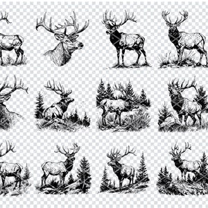 Puede incluir: Ilustraciones en blanco y negro de alces en varias poses, algunas con fondos de bosque. Las imágenes están en un estilo de boceto, con astas y características corporales detalladas. Incluye formatos de archivo SVG, PNG, DXF y EPS.