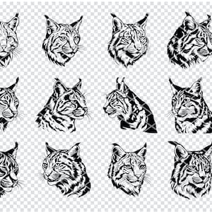 Può includere: Un set di 12 illustrazioni vettoriali in bianco e nero di una testa di lince in varie pose. Il lince è un gatto selvatico originario del Nord America.