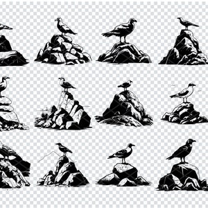 SEAGULL BIRD SVG, file Svg di uccelli marini per Cricut, Clipart di gabbiano, file di taglio laser di uccelli costieri