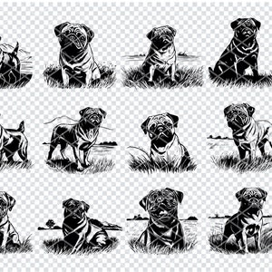 PUG HOND SVG, Pug puppy ras Svg-bestanden voor Cricut, Pug Canine Clipart, lasergesneden bestanden