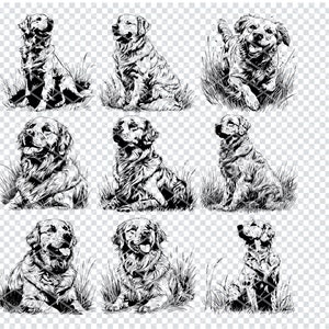 GOLDEN RETRIEVER DOG Svg, file Svg di razza di cane Golden Retriever per Cricut, Clipart amante dei cani, file tagliati al laser