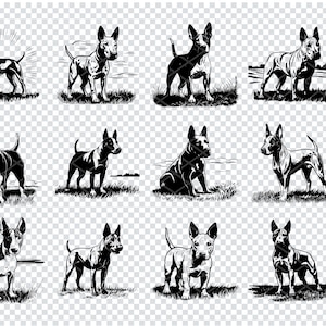 MINIATURE BULL TERRIER Svg, Bull Terrier Clipart, Bull Terrier Svg Files For Cricut, Bull Terrier Laser Cut Files
