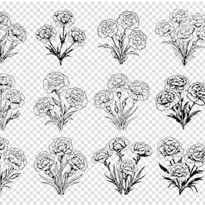 CARNATION FLOWER BLOOMS Svg, Carnation Bouquet Svg Files For Cricut, Floral Carnation Clipart, Laser Cut Files