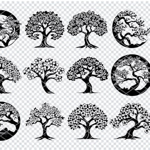 KIRSCHBLÜTE SVG, Kirschbaum-Svg-Dateien für Cricut, Kirschzweig Clipart, Laser Cut-Dateien