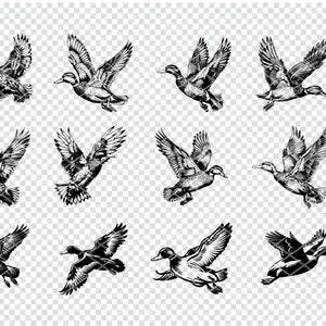MALLARD DUCK SVG, Mallard Duck Svg Files For Cricut, Mallard Duck Clipart, Laser Cut Files