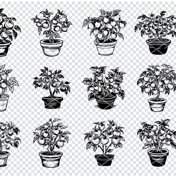 TOMATO PLANT SVG, Tomato Fruit Svg Files For Cricut, Tomato Plant In Pot Clipart, Laser Cut Files