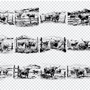 May include: A set of eight black and white digital illustrations of Highland cattle standing behind a fence. The cattle are in various poses, some looking at the viewer, some looking away, and some with their heads down. The illustrations are in a simple, minimalist style.