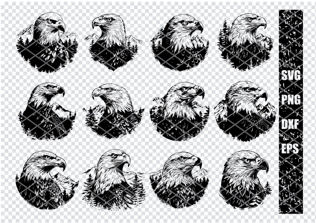 BALD EAGLE HEAD Svg, Bald Eagle Raptor Svg Files for Cricut, Freedom ...