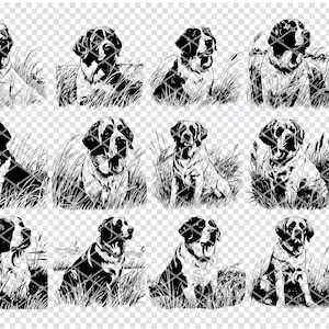 SAINT BERNARD DOG SVG, Alpine Bernhardiner SVG-Dateien für Cricut, große Sennenhund Clipart, Laser Cut-Dateien