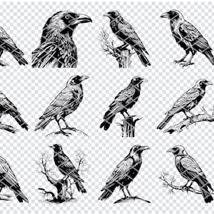 RAVEN SVG、Cricut 用 CROW SVG SVG ファイル、不気味なカラスのクリップアート、レーザーカット ファイル