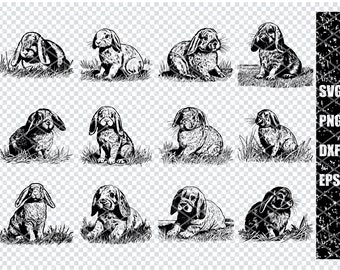 HOLLAND Lop DWARF RABBIT Svg, Small Bunny Holland Lop Svg Files For Cricut, Petite Dutch Rabbit Clipart, Laser Cut Files