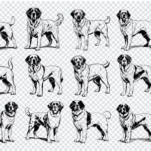 SAINT BERNARD DOG SVG, Alpine Bernhardiner SVG-Dateien für Cricut, große Sennenhund Clipart, Laser Cut-Dateien