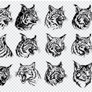 Può includere: Un set di 12 illustrazioni vettoriali in bianco e nero di una testa di lince in varie pose. La testa del lince è mostrata di lato, con le orecchie puntate in avanti e la bocca aperta in un ringhio. Le illustrazioni sono perfette per l'uso in una varietà di progetti, come t-shirt, tazze, adesivi e altro ancora.