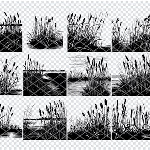 Roseau des roseaux Svg, quenouilles des marais des marais fichiers Svg pour Cricut, quenouilles Schilf Marsh Clipart, fichiers découpés au Laser