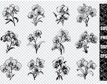 Fleur d'orchidée SVG, fichiers Svg d'orchidée Cattleya pour Cricut, clipart orchidée dendrobium, fichiers découpés au laser