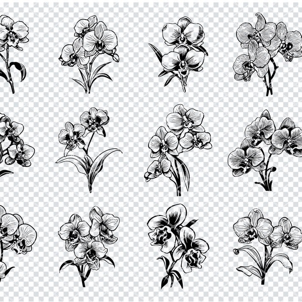 ORCHID FLOWER SVG, Cattleya Orchid Svg Files For Cricut, Dendrobium Orchid Clipart, Laser Cut Files