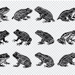 AFRIKAANSE DWERG KIKKER Svg, Afrikaanse dwergkikker Svg-bestanden voor Cricut, exotische huisdier kikker clipart, Laser Cut-bestanden
