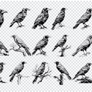 RAVEN SVG, CROW Svg Svg Files For Cricut, Eerie Crow Clipart, Laser Cut Files