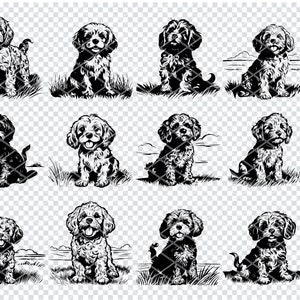 CAVAPOO DOG SVG, Cavapoo Dog Breed Svg Files For Cricut, Dog Lover Clipart, Laser Cut Files