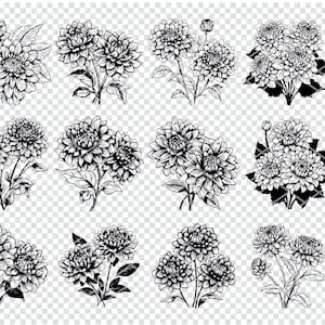 DAHLIA FLOWER BLOOMS Svg, Dahlia Bouquet Svg Files For Cricut, Floral Dahlia Clipart, Laser Cut Files