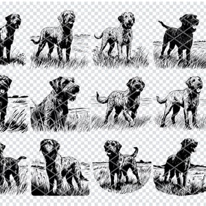 IRISH WOLFHOUND DOG Svg, Irish Wolfhound Dog Breed Svg Files For Cricut, Dog Lover Clipart, Laser Cut Files