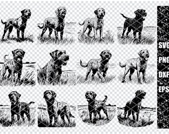 IRISH WOLFHOUND DOG Svg, Irish Wolfhound Dog Breed Svg Files For Cricut, Dog Lover Clipart, Laser Cut Files