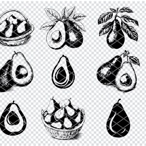 May include: A set of nine black and white illustrations of avocados, some whole and some sliced open. The illustrations are in various styles, including a basket of avocados, a single avocado with a leaf, and a pair of avocados with one sliced open.