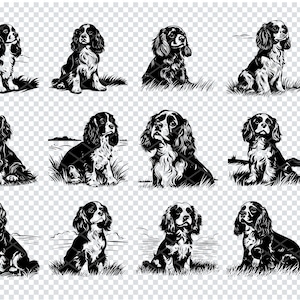 CAVALIER KING CHARLES Spaniel Svg, Cavalier King Charles Spaniel Svg Files For Cricut, Laser Cut Files