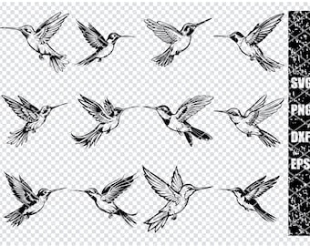 HUMMINGBIRD SVG, Hummingbird clipart, Hummingbird svg cut files for Cricut, hummingbird silhouette svg cut file
