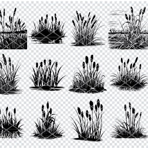 Roseau des roseaux Svg, quenouilles des marais des marais fichiers Svg pour Cricut, quenouilles Schilf Marsh Clipart, fichiers découpés au Laser