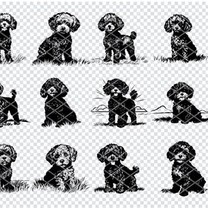 Caniche toy SVG, fichiers de coupe Svg de caniche pour Cricut, Svg de chien de petite race, Svg de Silhouette de caniche