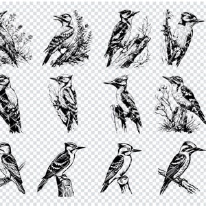 WOODPECKER SVG, WOODPECKER Svg Files For Cricut, Woodpecker Clipart, Laser Cut Files