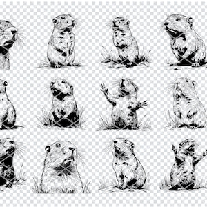 GOPHER SVG, GOPHER Svg Files For Cricut, Gopher Clipart, Laser Cut Files