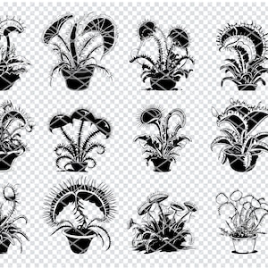 VENUS FLYTRAP SVG, Carnivorous Plant Svg Svg Files For Cricut, Insect Eating Plant Clipart, Laser Cut Files