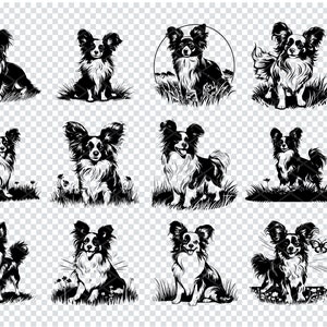 PAPILLON SVG, PAPILLON Clipart, Papillon Svg Archivos para Cricut, Papillon Lover Svg, Archivos cortados con láser