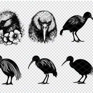 KIWI BIRD SVG, Kiwi Bird Svg Svg Files For Cricut, Kiwi Bird Clipart, Laser Cut Files