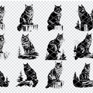 Chat Maine Coon Svg, fichiers Svg géant de chat Maine Coon pour Cricut, Clipart chat coon poil long, fichiers découpés au Laser