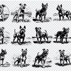 PITBULL DOG Svg, Pitbull Dog Breed Svg Files For Cricut, Dog Lover Clipart, Laser Cut Files