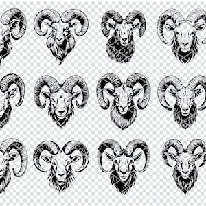 Mouton bélier Svg, fichiers Svg Ovis bélier mouflon pour Cricut, clipart bélier mouflon, fichiers découpés au Laser