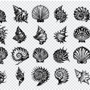 Vintage Sea Shell Art Print, Coastal Nautical Decor, Black and White Shell Illustration, Beach Themed Wall Art, Digital Download