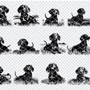 DACHSHUND Dog SVG, DACHSHUND Clipart, Dachshund Svg Files For Cricut, Dachshund Silhouette Svg, Dog svg
