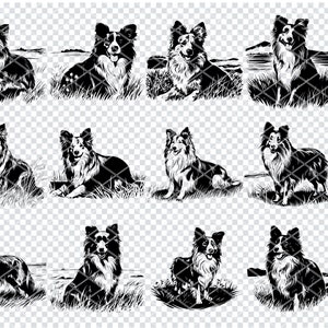 SHETLAND SHEEPDOG DOG Svg, Shetland Sheepdog Dog Breed Svg Files For Cricut, Dog Lover Clipart, Laser Cut Files