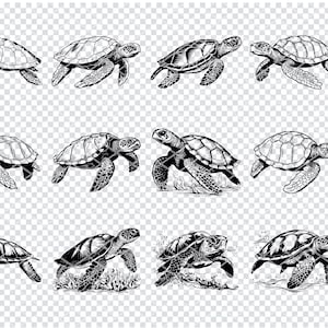 SEA TURTLE SVG, Sea Turtle Svg, Sea Turtles Clipart, Turtle Svg files for Cricut, tortoise svg