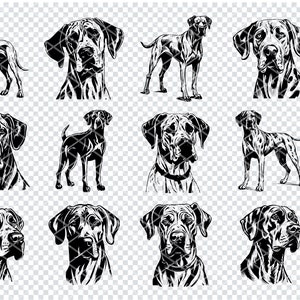 GREAT DANE DOG Svg, Great Dane Large Canine Svg-bestanden voor Cricut, Great Dane Guard Dog Clipart, Laser Cut Files