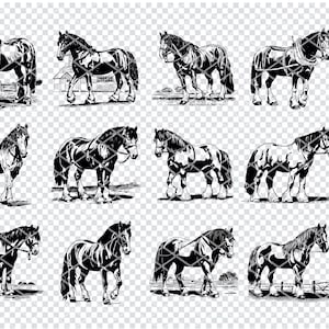 SHIRE DRAFT HORSE Svg, British Working Horse Svg Files For Cricut, Shire Horse Clipart, Laser Cut Files
