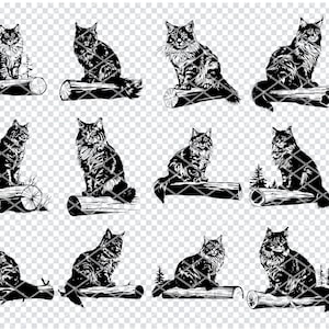 Chat Maine Coon Svg, fichiers Svg géant de chat Maine Coon pour Cricut, Clipart chat coon poil long, fichiers découpés au Laser