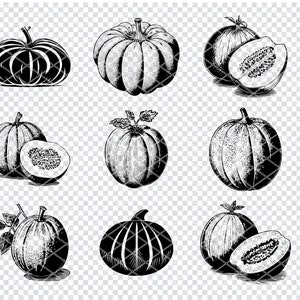 CANTALOUPE SVG, CANTALOUPE Svg Files For Cricut, Cantaloupe Clipart, Laser Cut Files