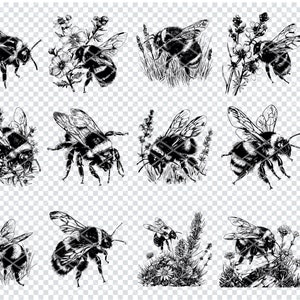 Könnte beinhalten: Ein Set mit 12 Schwarzweißillustrationen von Hummeln in verschiedenen Posen, einige mit Blumen und einige mit Gras. Die Illustrationen sind im Vintage-Stil gehalten.